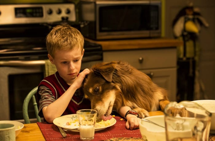 "The Selected Works of T.S.Spivet"   Day 42 "The young and Prodigious Spivet" Photo: Jan Thijs 2012